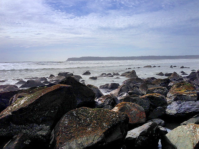 beach-at-hotel-del-coronado-in-san-diego